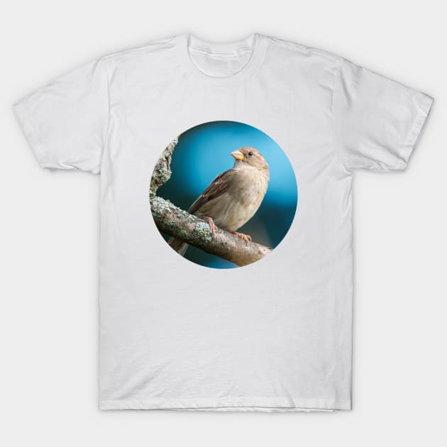 Springtime Sparrow Photograph T-Shirt by love-fi